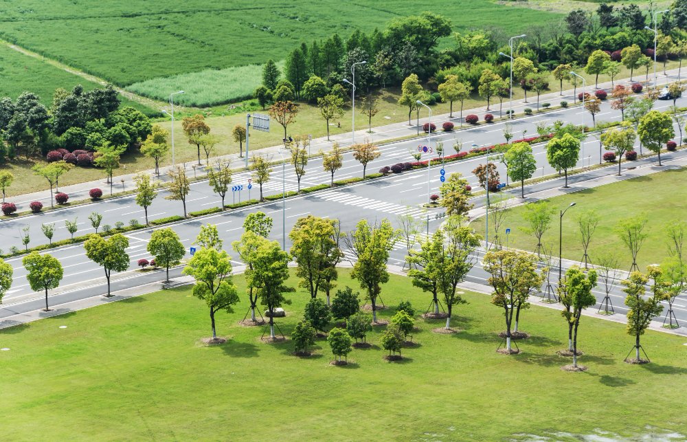Basera Aroma City